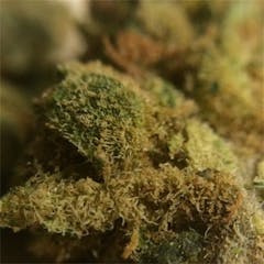 User uploaded image of Swiss Tsunami