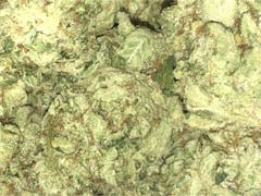 User uploaded image of Swiss Tsunami