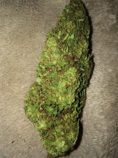 User uploaded image of Swiss Indica