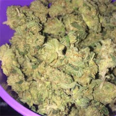 User uploaded image of Tahoe Alien