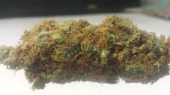 User uploaded image of Tahoe Alien