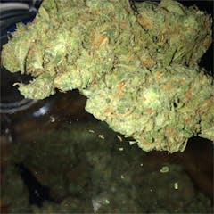 User uploaded image of Tahoe Alien