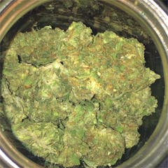 User uploaded image of Tahoe Alien