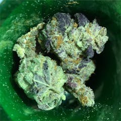 User uploaded image of Tahoe Alien