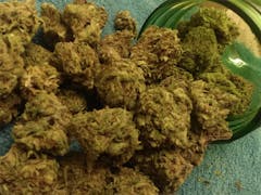 User uploaded image of Tangelo Kush