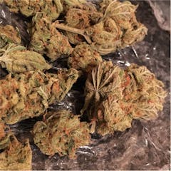 User uploaded image of Tangelo