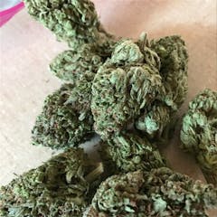 User uploaded image of Tangelo