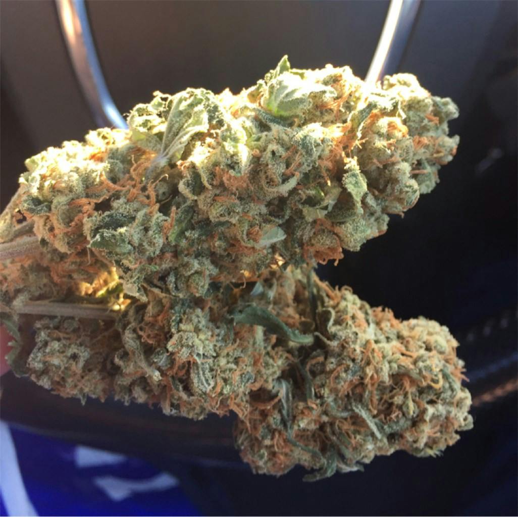 Tangerine Dream Weed Strain Information Leafly