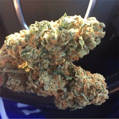 User uploaded image of Tangerine Dream