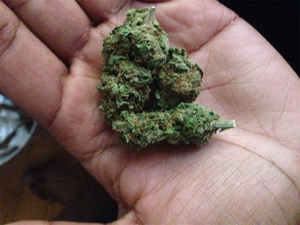 Photos of Tangerine Dream Weed Strain Buds Leafly