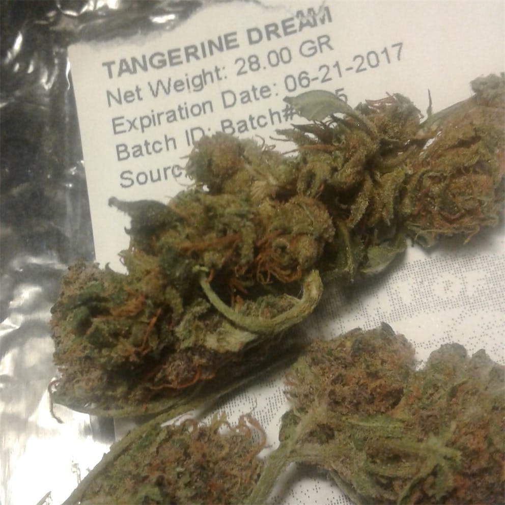 Photos of Tangerine Dream Weed Strain Buds Leafly