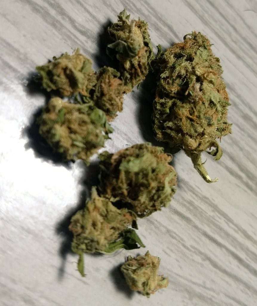 Tangerine Dream Weed Strain Information Leafly