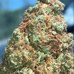 User uploaded image of Tangerine Dream