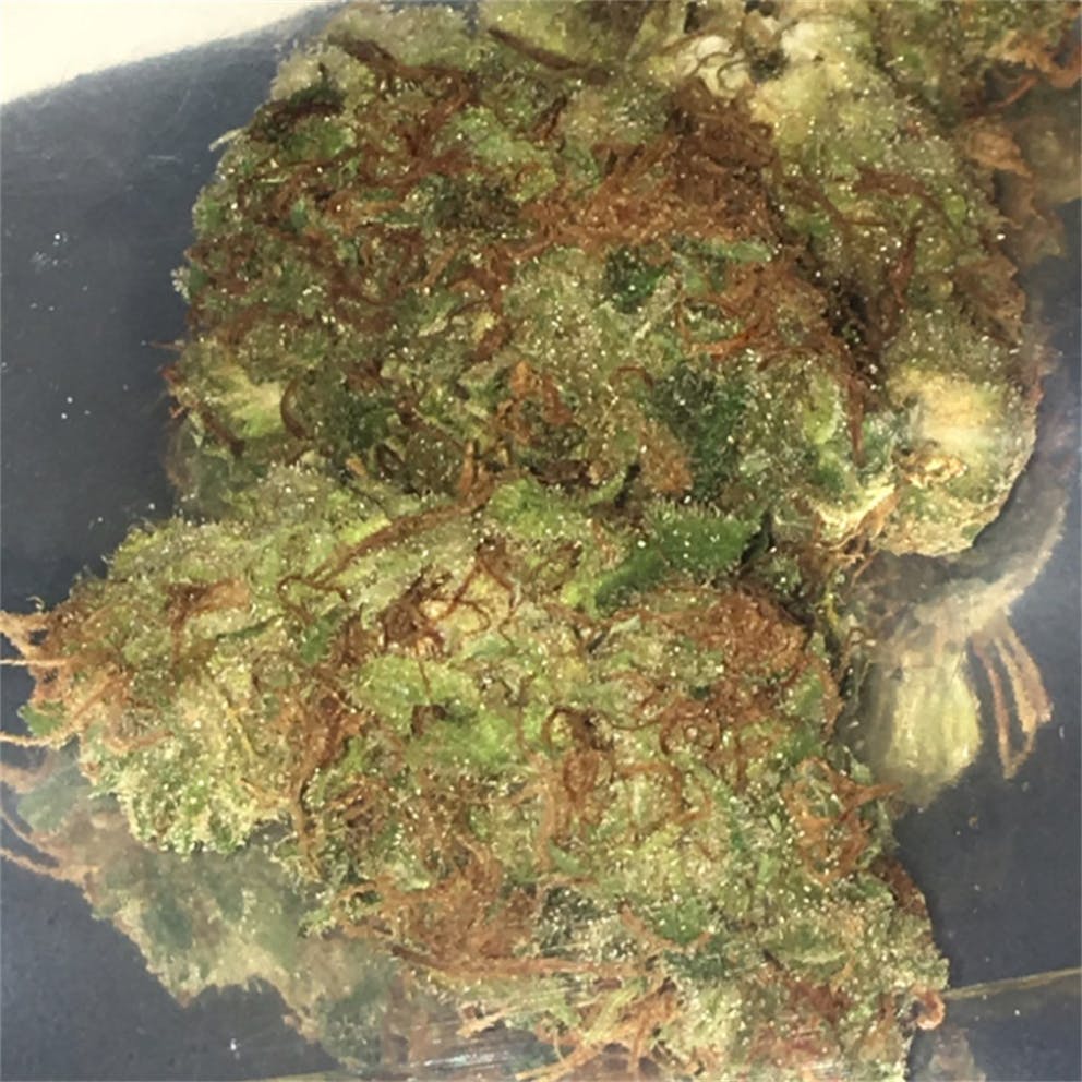 Photos of Tangerine Dream Weed Strain Buds Leafly