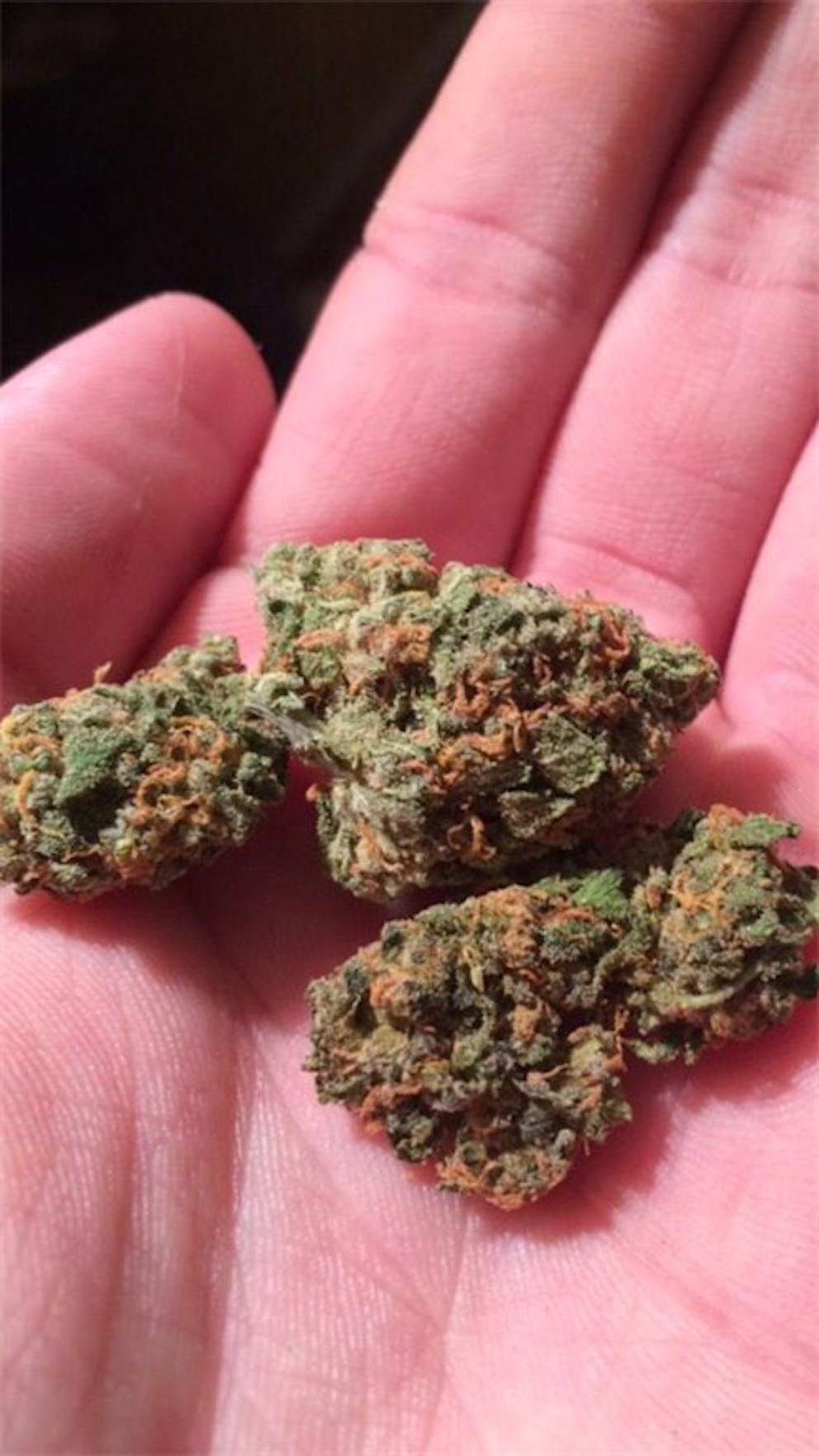 Photos of Tangerine Dream Weed Strain Buds Leafly
