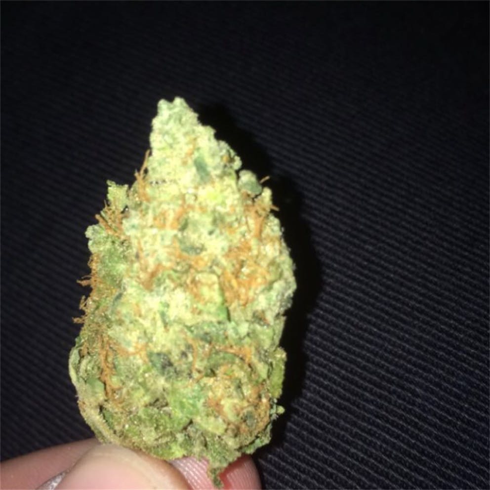 Photos of Tangerine Dream Weed Strain Buds Leafly