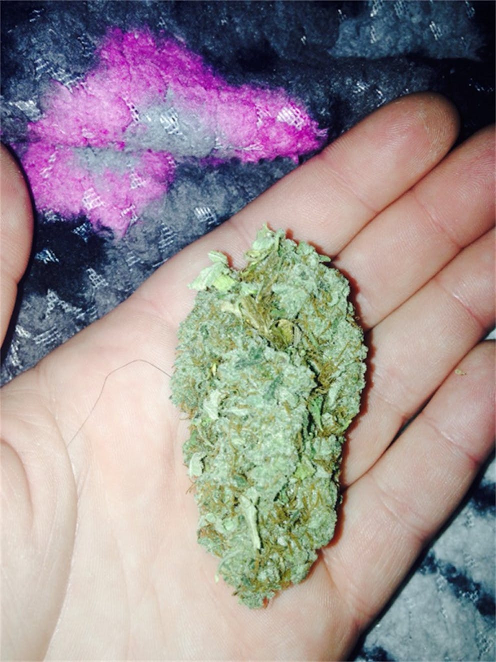 Photos of Tangerine Haze Weed Strain Buds Leafly