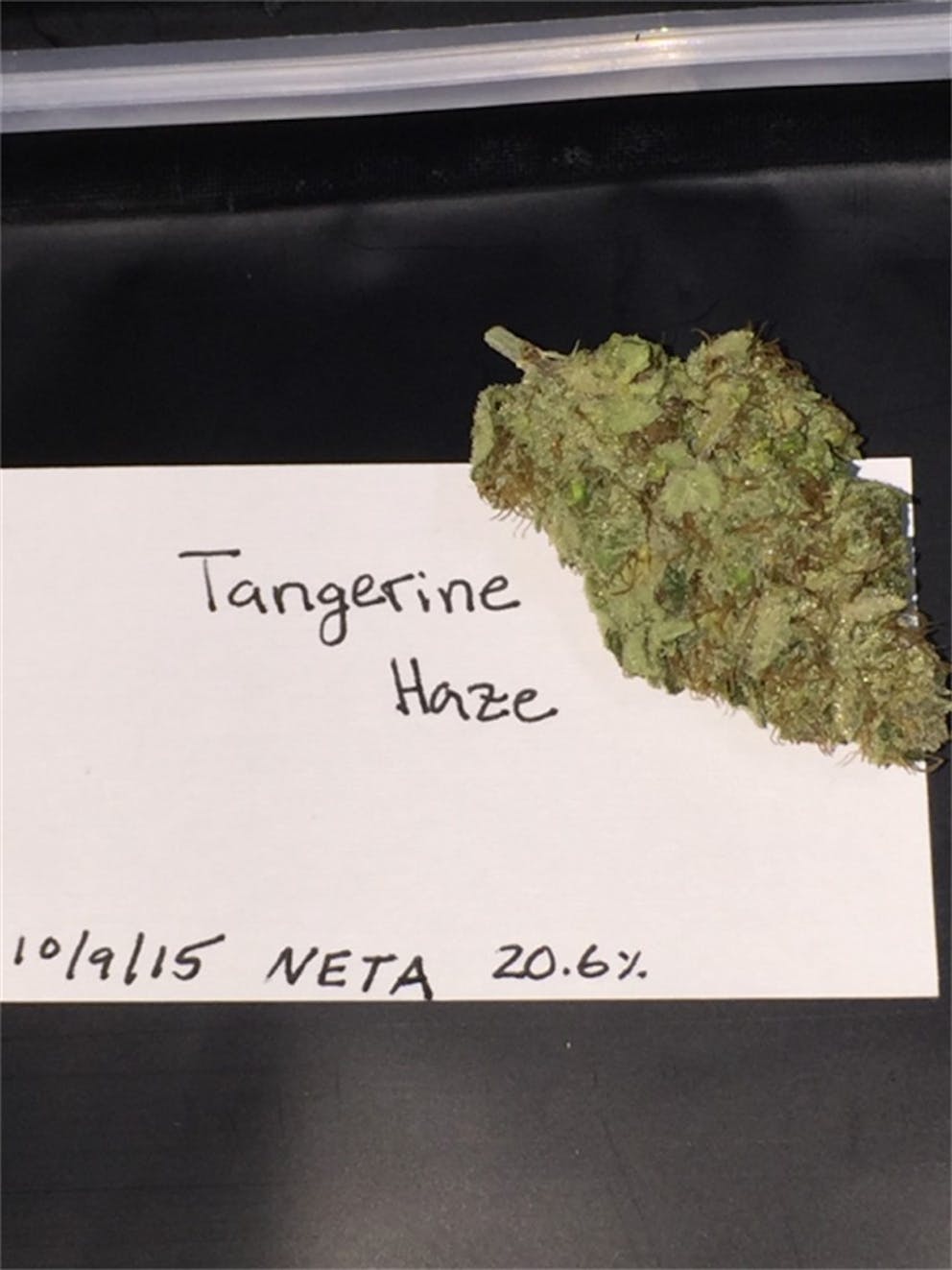 Photos of Tangerine Haze Weed Strain Buds Leafly