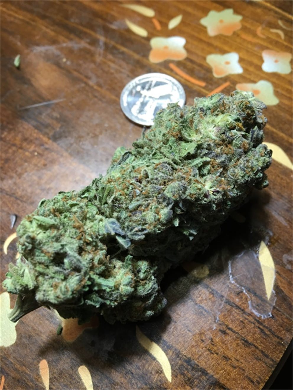 Photos of Tangerine Haze Weed Strain Buds Leafly