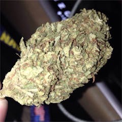 User uploaded image of Tangerine Kush