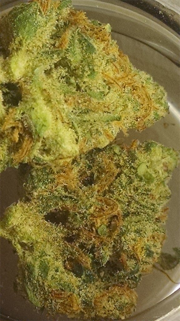 Tangerine Kush Marijuana Strain Information Leafly