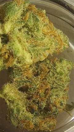 User uploaded image of Tangerine Kush