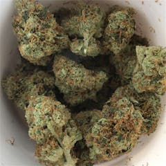 User uploaded image of Tangerine Kush