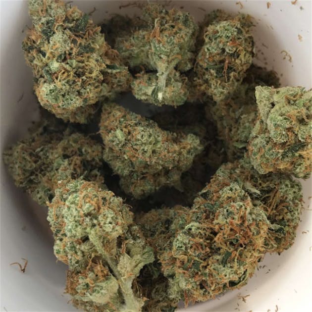 Photos of Tangerine Kush Weed Strain Buds Leafly