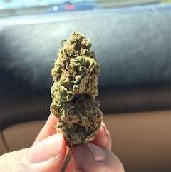 User uploaded image of Tangerine Kush