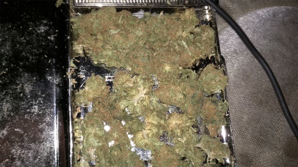 Photos of Tangerine Kush Weed Strain Buds Leafly