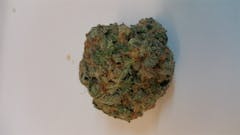 User uploaded image of Tangerine Kush