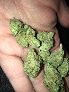 User uploaded image of Tangerine Man