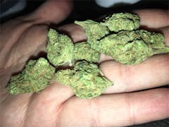 User uploaded image of Tangerine Man