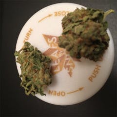 User uploaded image of Tangerine Man