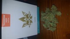 User uploaded image of Tangerine Man