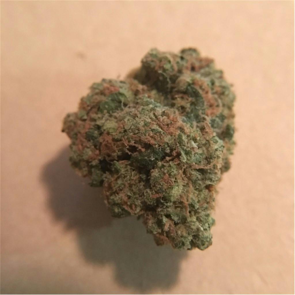 Tangerine Power Weed Strain Information Leafly