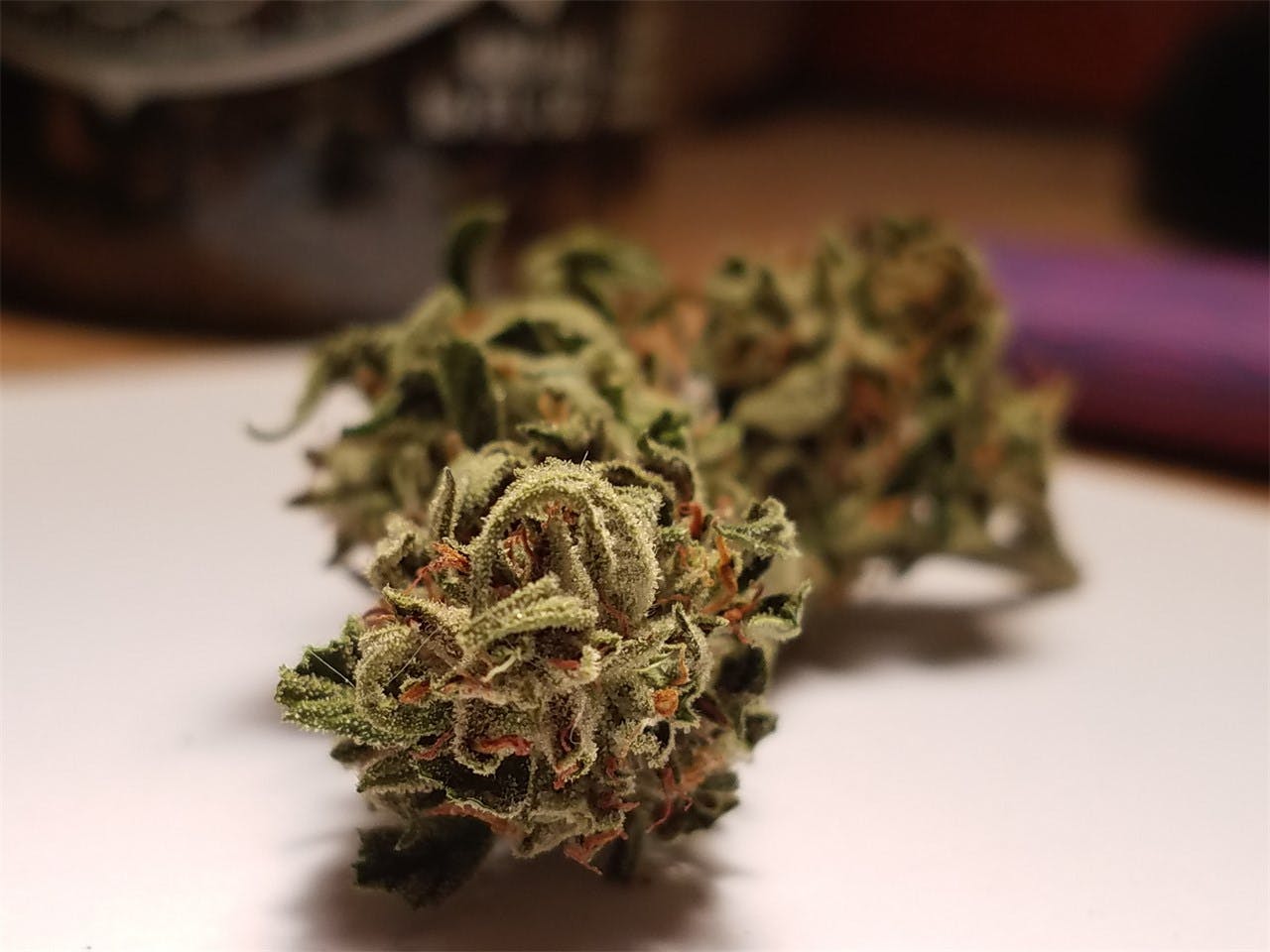 Tangerine Power Weed Strain Information Leafly