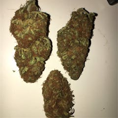 User uploaded image of Tangerine Power