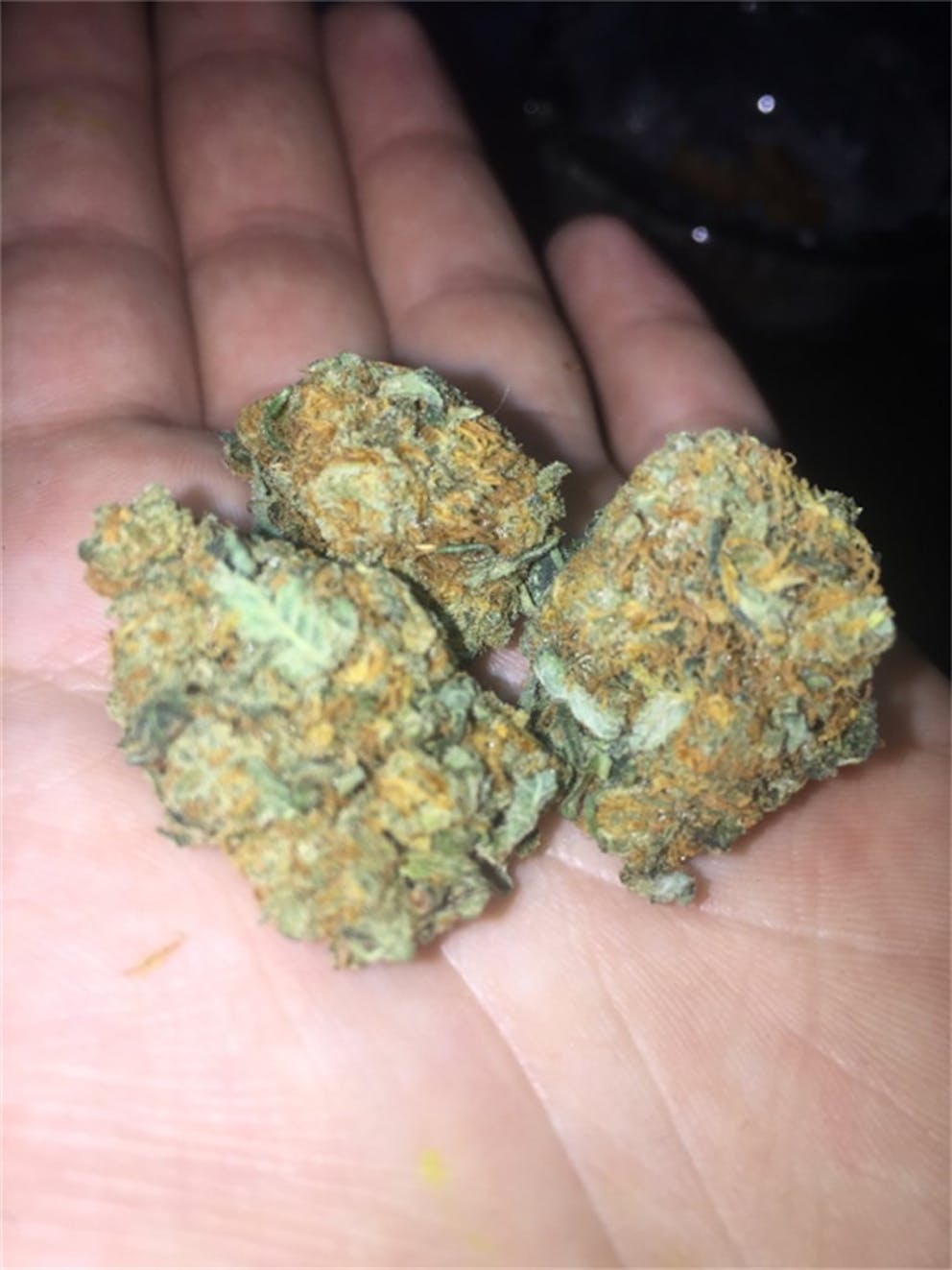 Photos of Tangerine Weed Strain Buds Leafly