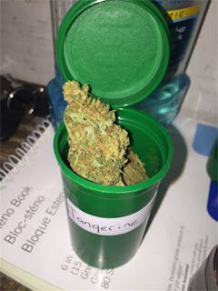 User uploaded image of Tangerine