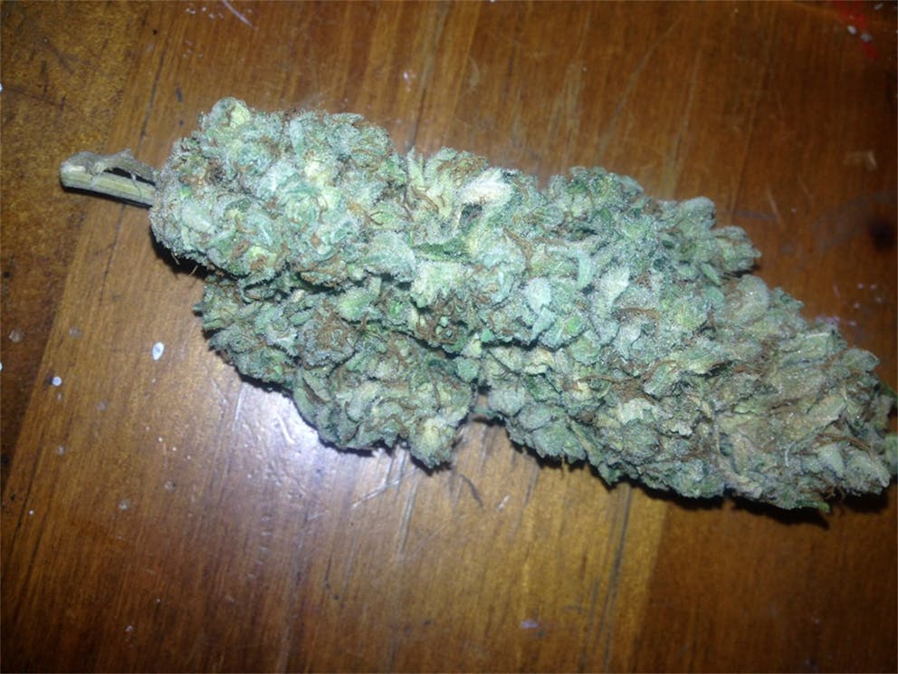 Photos of Tangerine Weed Strain Buds Leafly