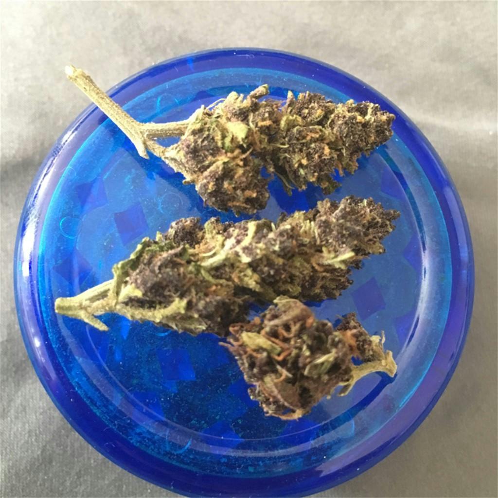 Tangerine Weed Strain Information Leafly