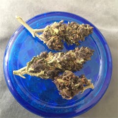 User uploaded image of Tangerine