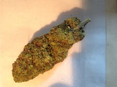 User uploaded image of Tangerine