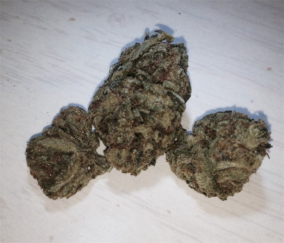 Photos of Tangerine Weed Strain Buds Leafly