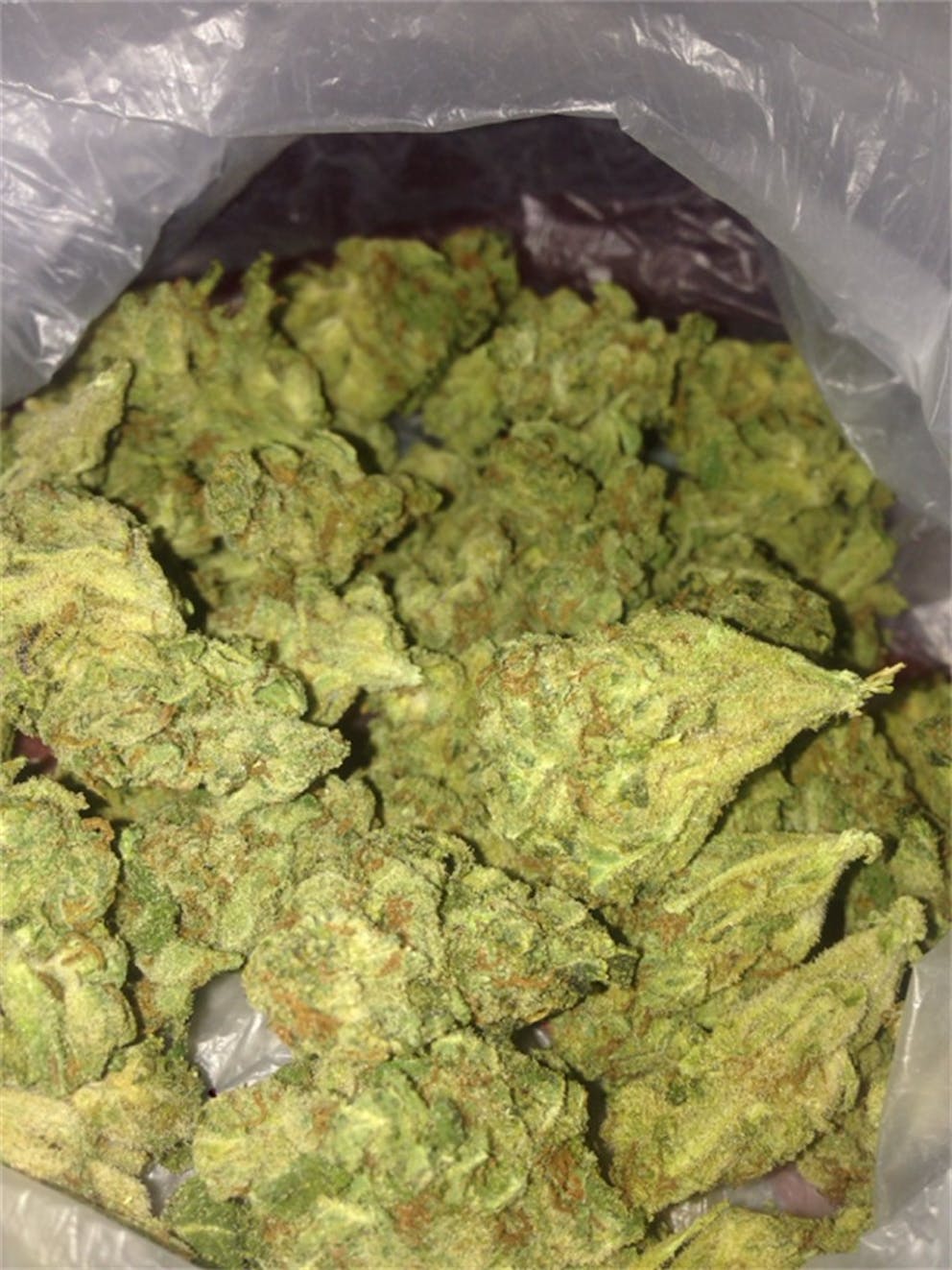 Photos of Tangerine Weed Strain Buds Leafly