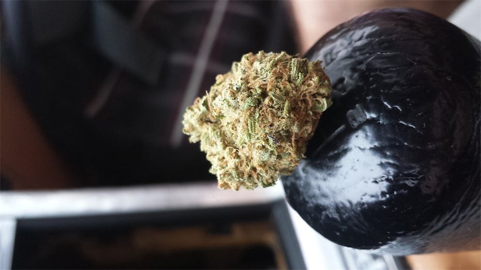 Photos of Tangerine Weed Strain Buds Leafly