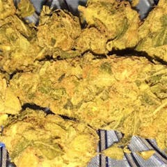 User uploaded image of Tangie Dream