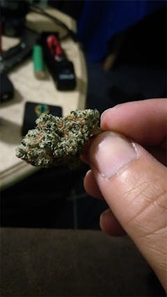 User uploaded image of Tangie Sunrise