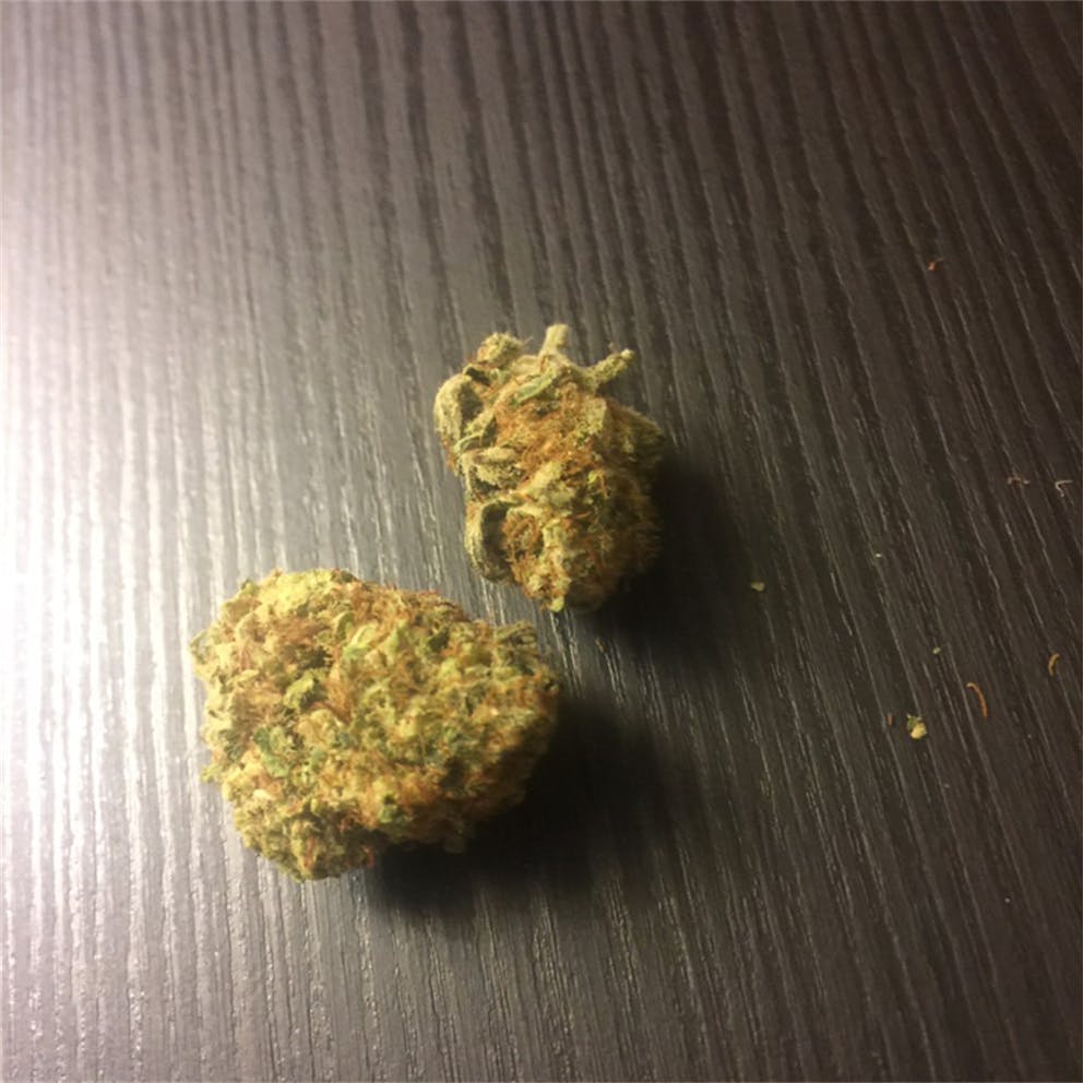 Photos of Tangie Weed Strain Buds | Leafly